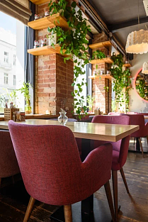 Полукресло Dion | Дион